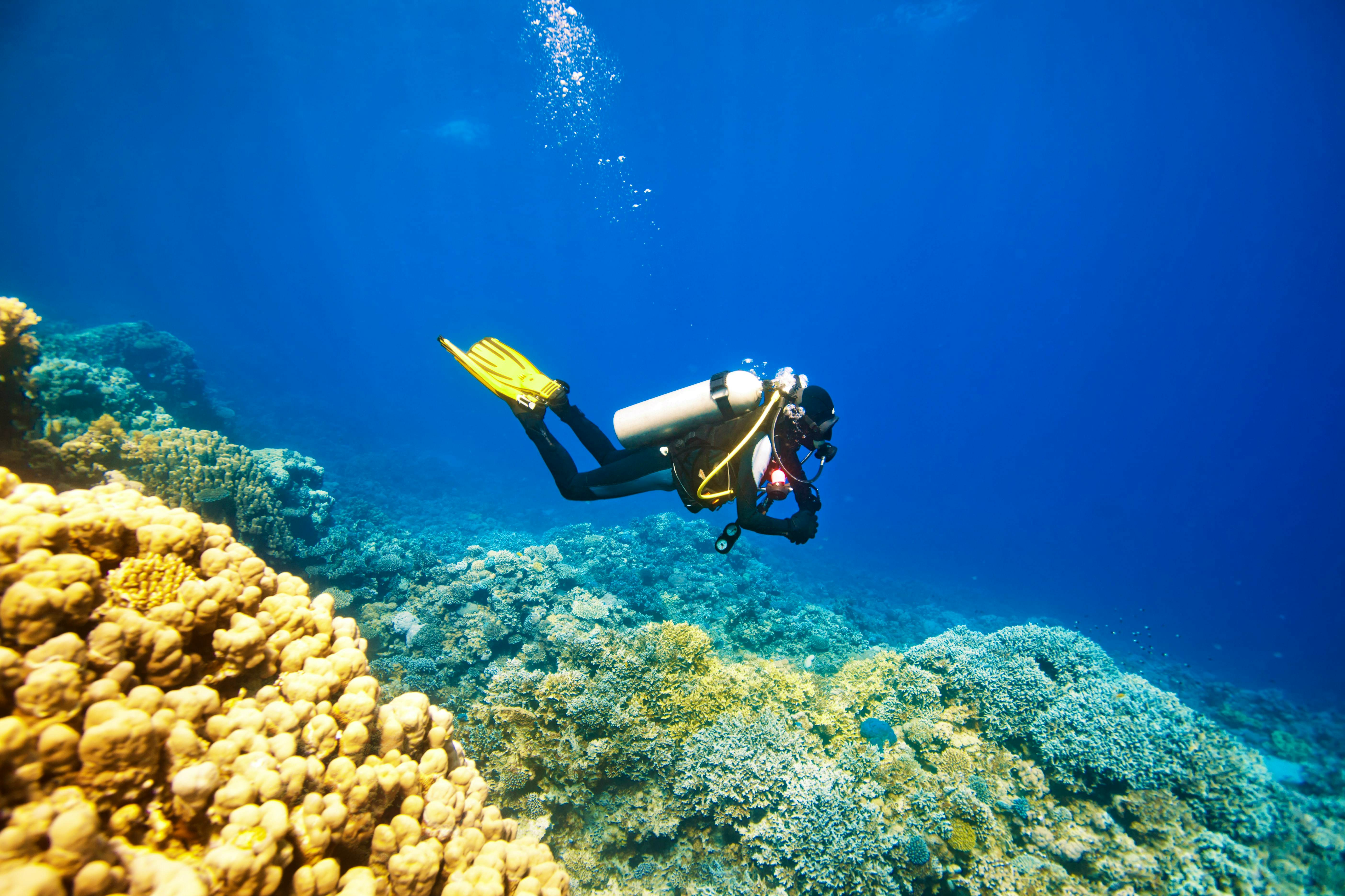 Parasailing & Scuba Diving (SIC Transfer)