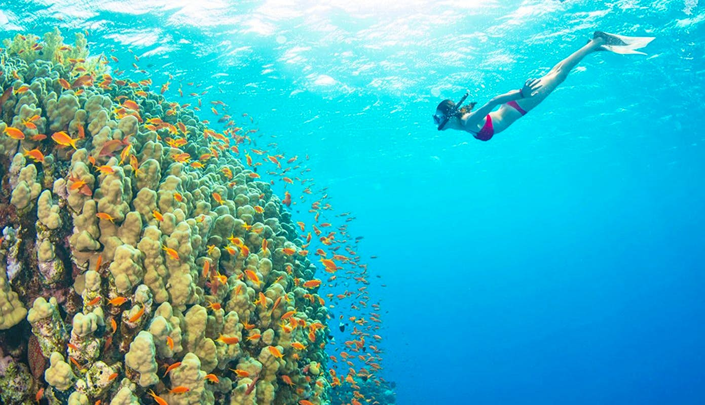 Snorkeling trip at Giftun Island with Shared Transfers