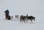 Snowy Trails Husky Safari (10 Km)