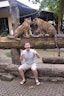 Tiger Kingdom- Take 3 Package ( Cheetah + Big + Medium )  (Pick up for hotels in Patong, Kata, Karon & Kamala)