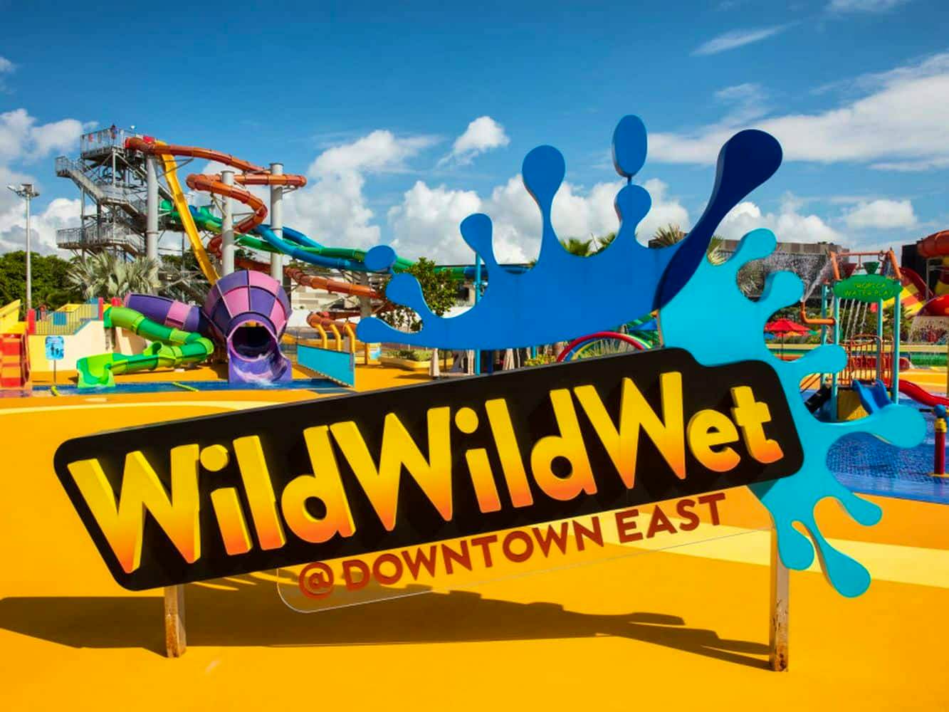 Wild Wild Wet Admission Ticket Downtown East [ Operational Days -Wed,Thu,Fri,Sat,Sun,Mon]