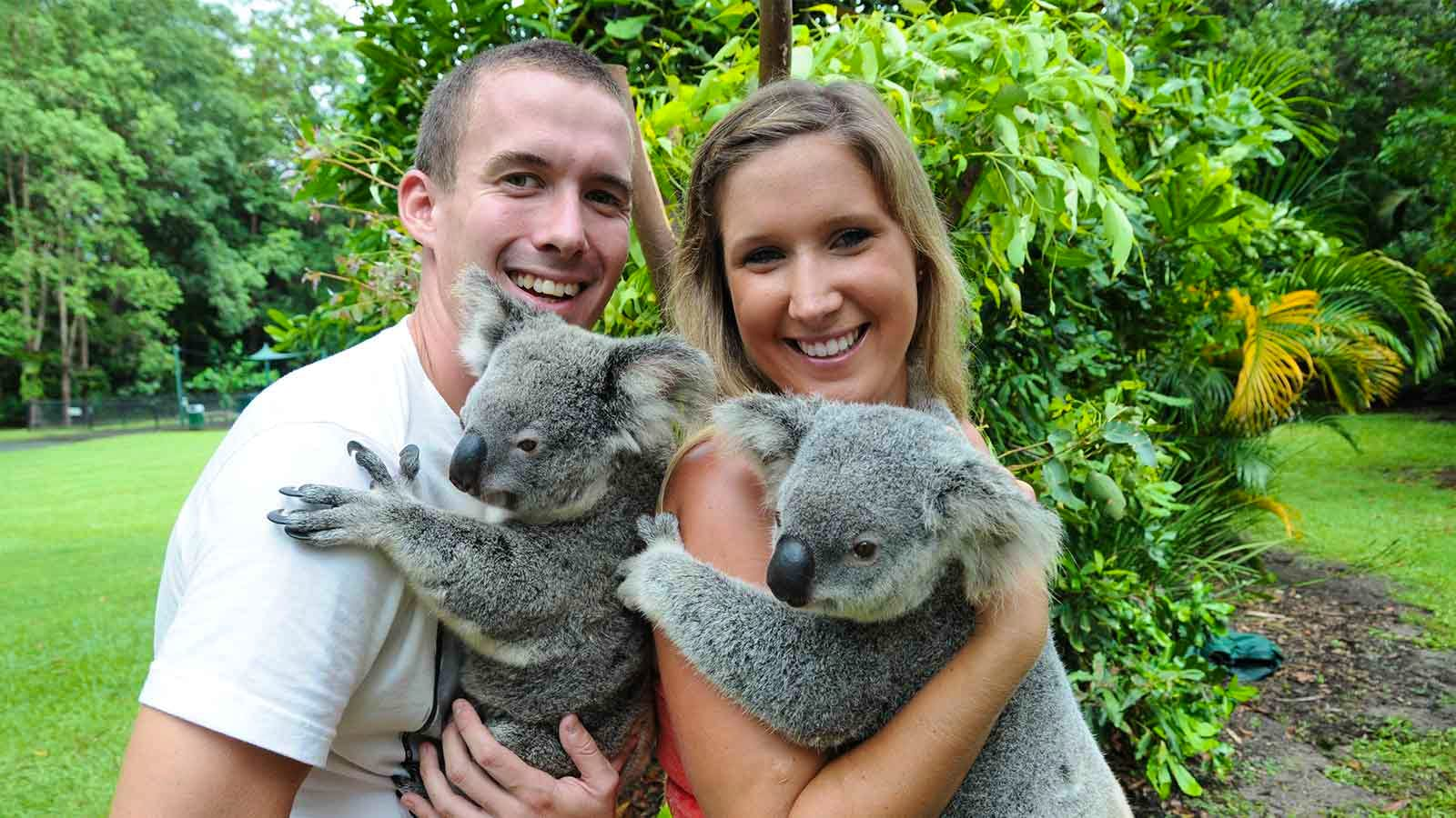 Australia Zoo Tickets with BONUS Wildlife Hospital Entry