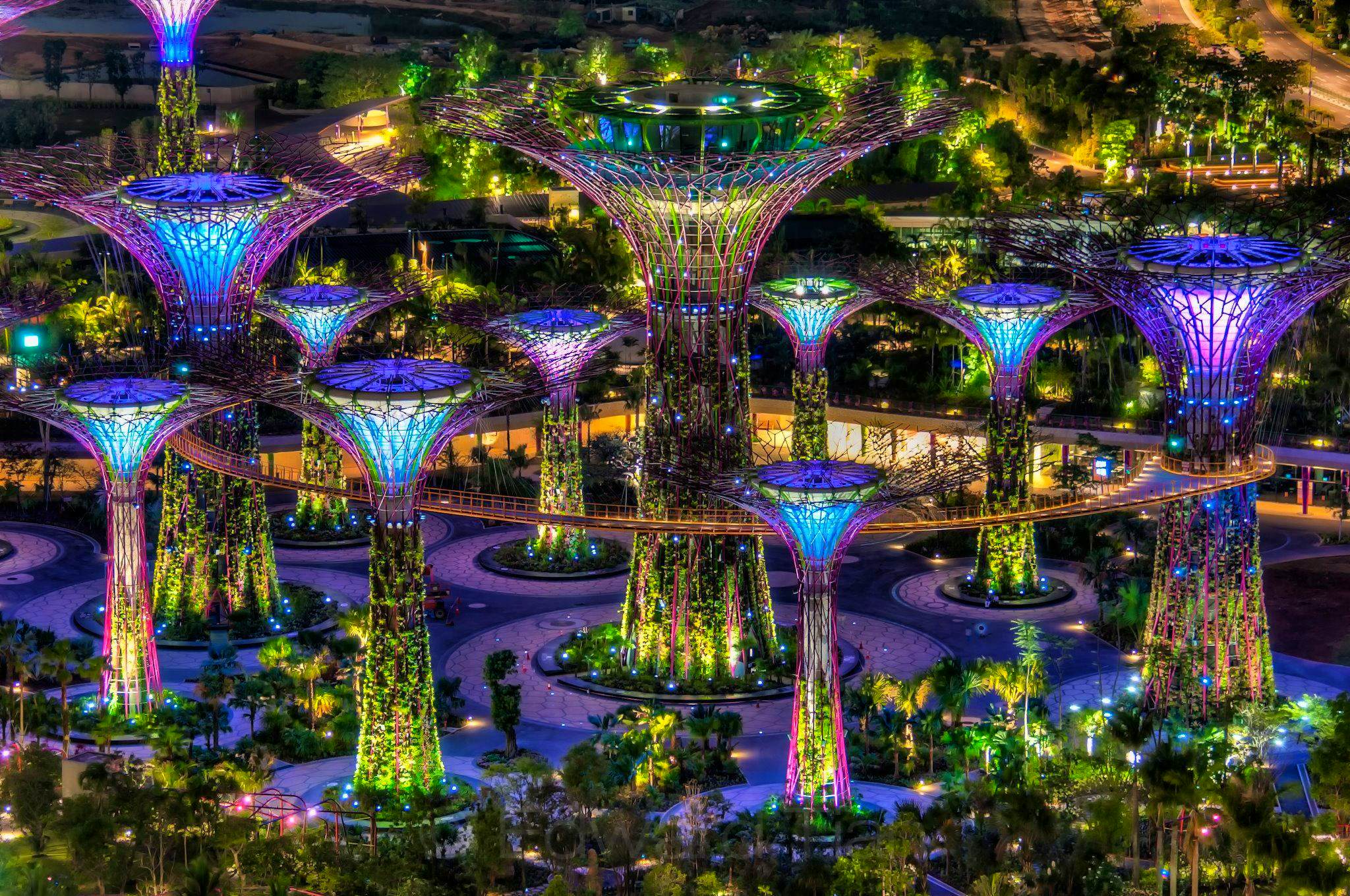 Gardens by the bay [FLOWER DOME (INCLUDING IMPRESSIONS OF MONET: THE EXPERIENCE) + Cloud forest  on shared basis 