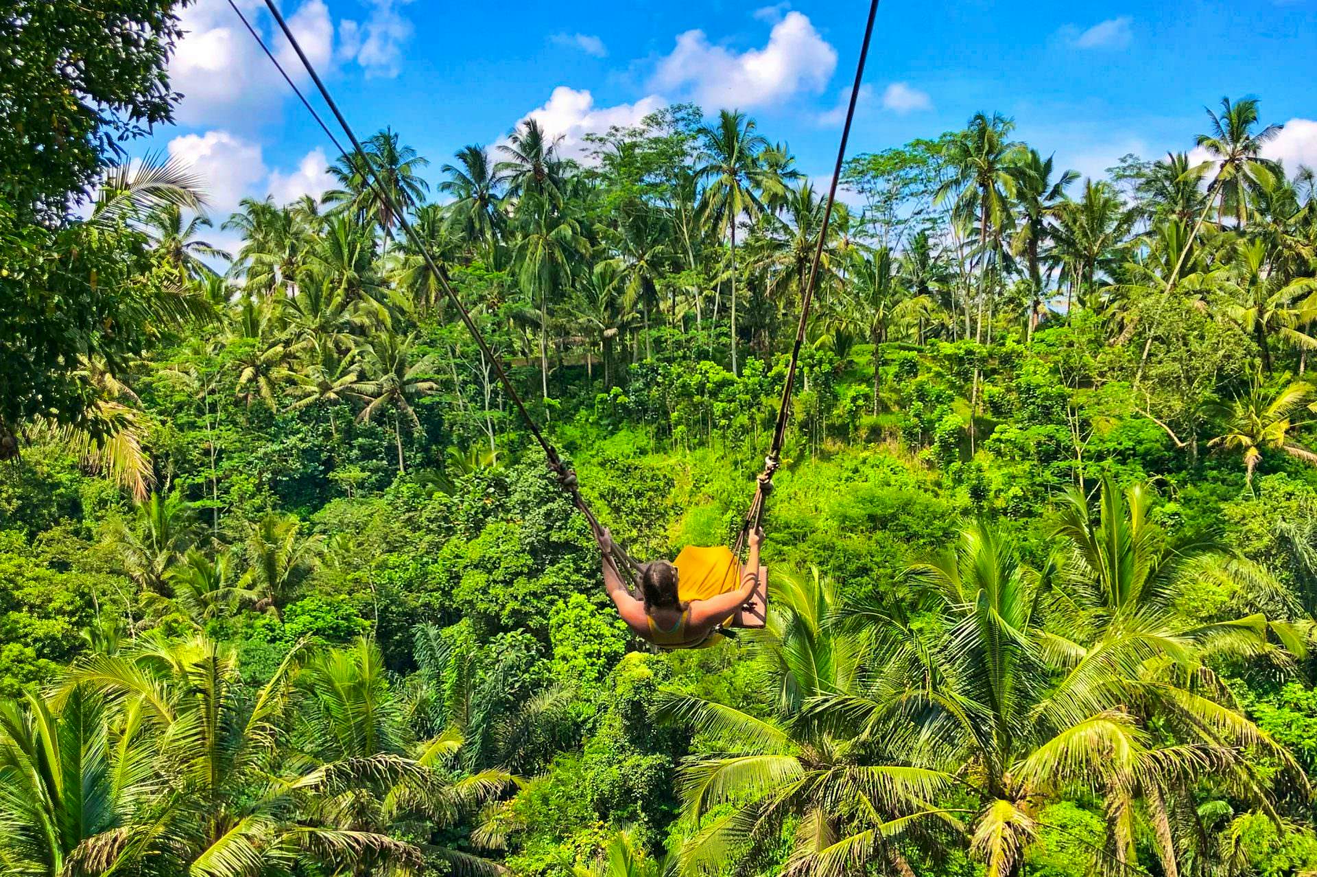 Bali Swing and Waterfall with Ubud Palace full day Ubud tour  (Nt possible)