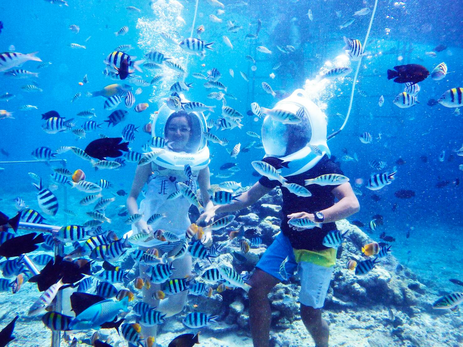 Scuba Diving 1x Dive At Nusa Dua With Shared Transfers