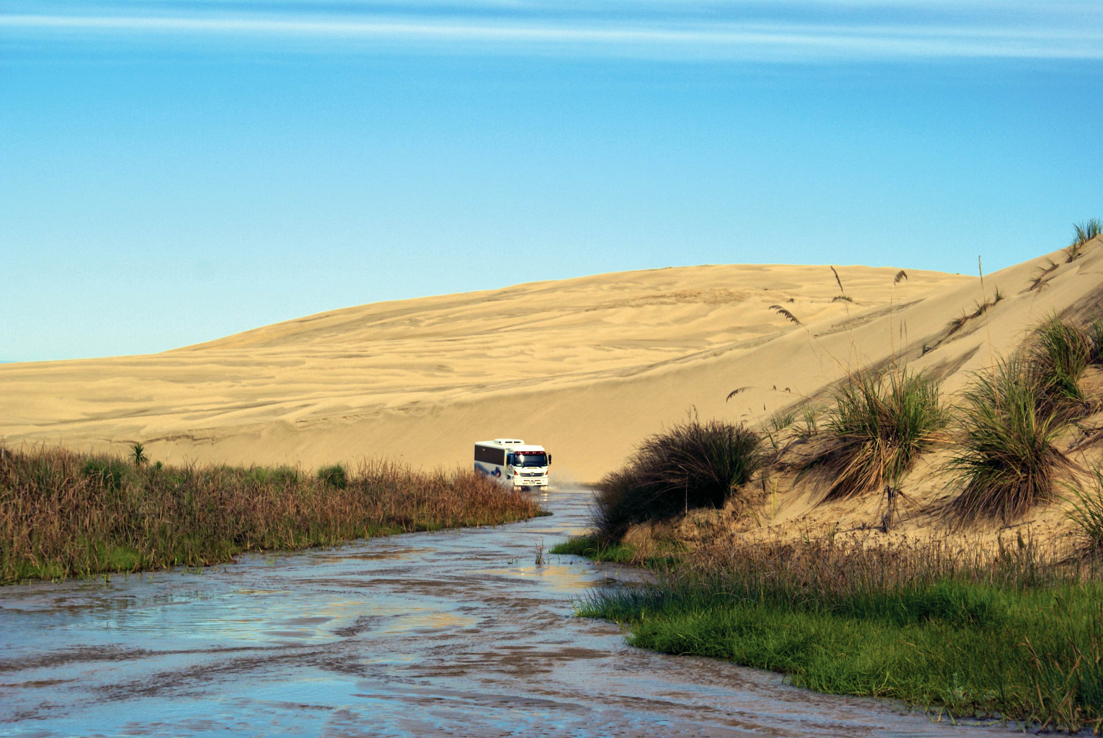  Cape Reinga & Ninety Mile Beach Dune Rider Tour with Lunch