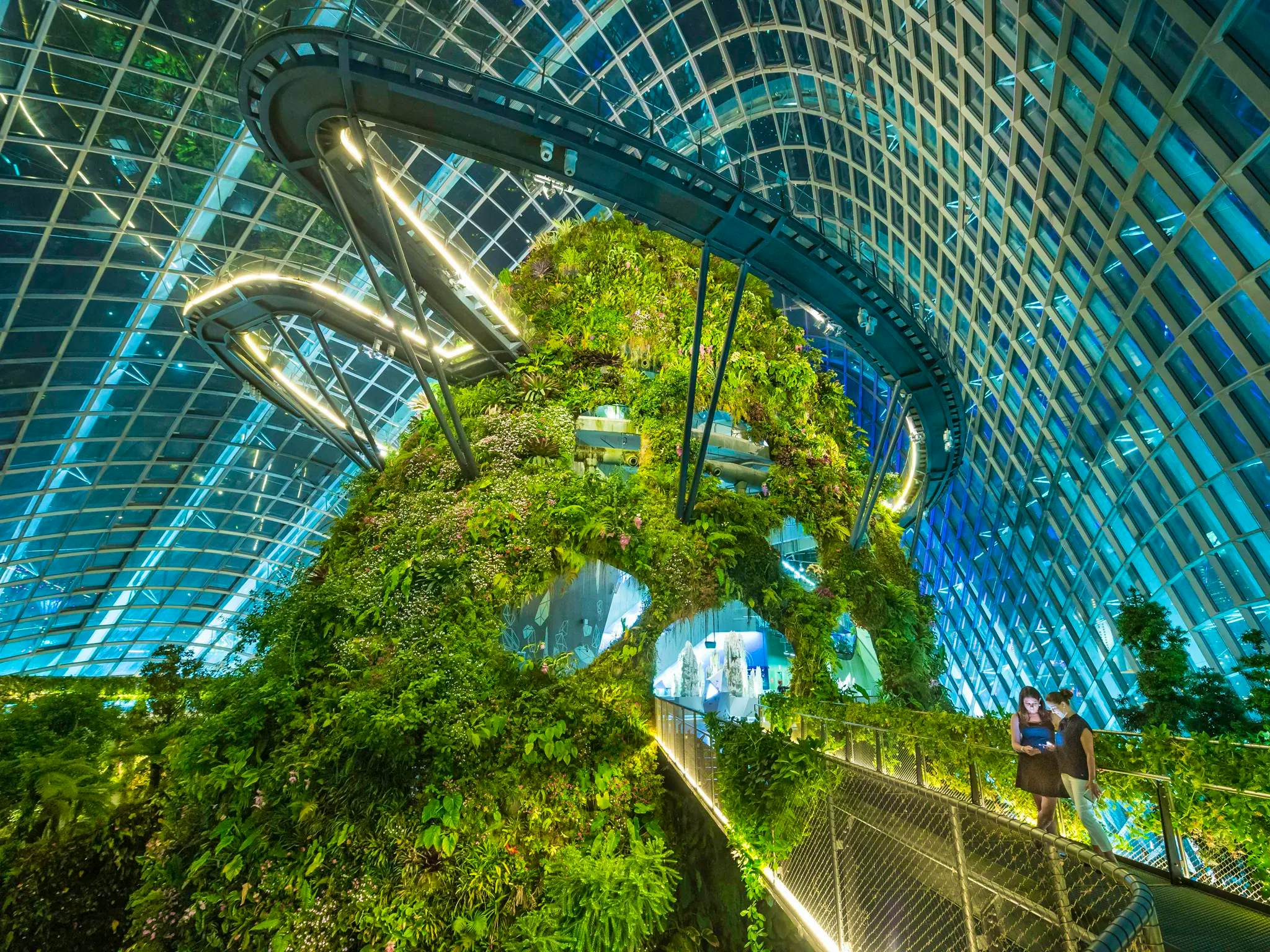 Gardens By The Bay (Cloud Forest + Supertree) - Ticket only