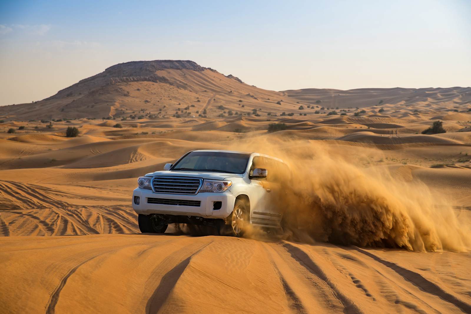 Platinum Wildlife Desert Safari With Private Transfers