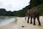 A visit to Elephant Beach