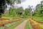 Peradeniya Botanical Gardens (2 Hours) - PVT Transfers