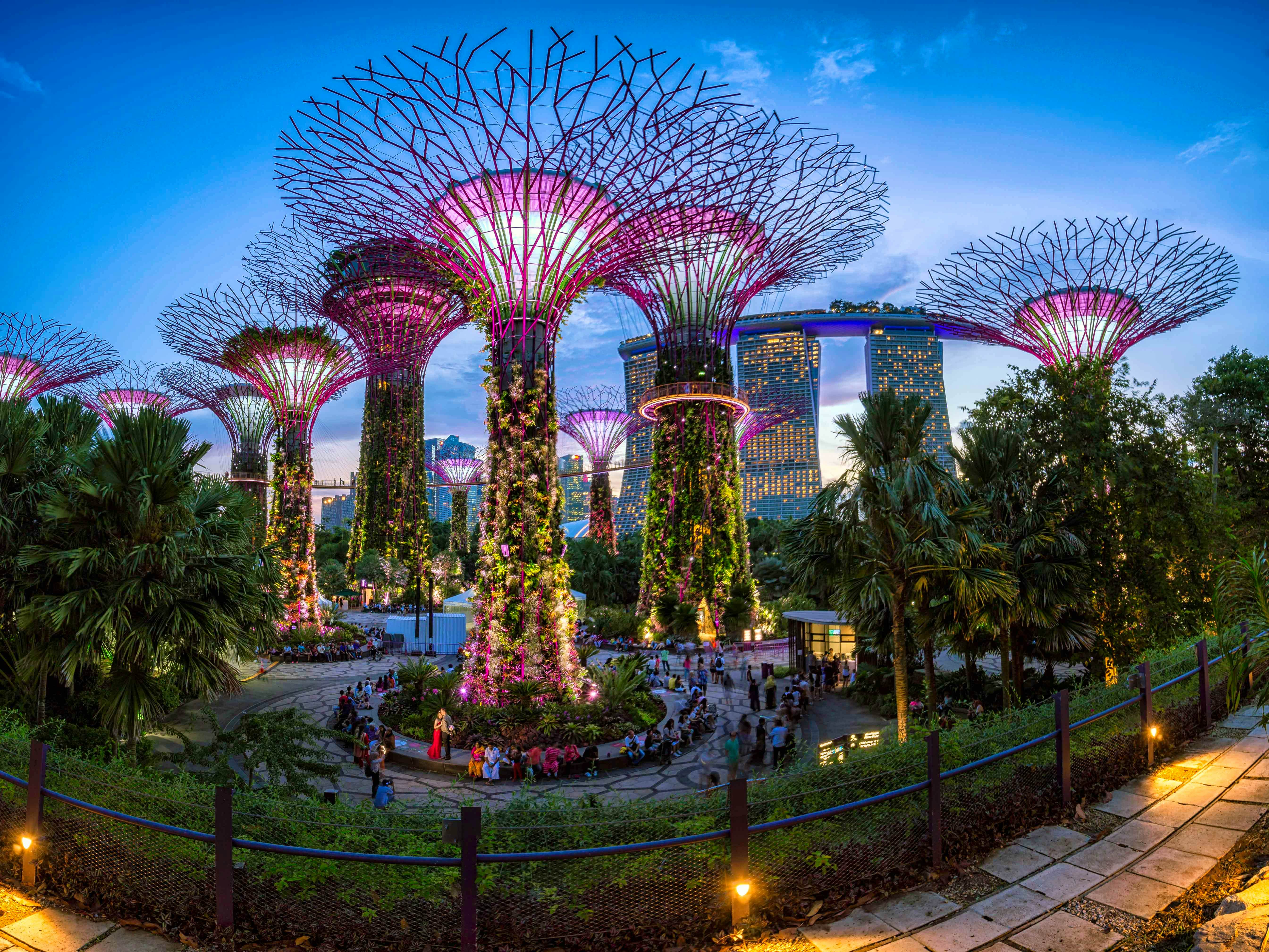 MBS + Gardens By The Bay (Cloud and Super tree Observatory) and Singapore Flyer with Time Capsule - Private Transfers