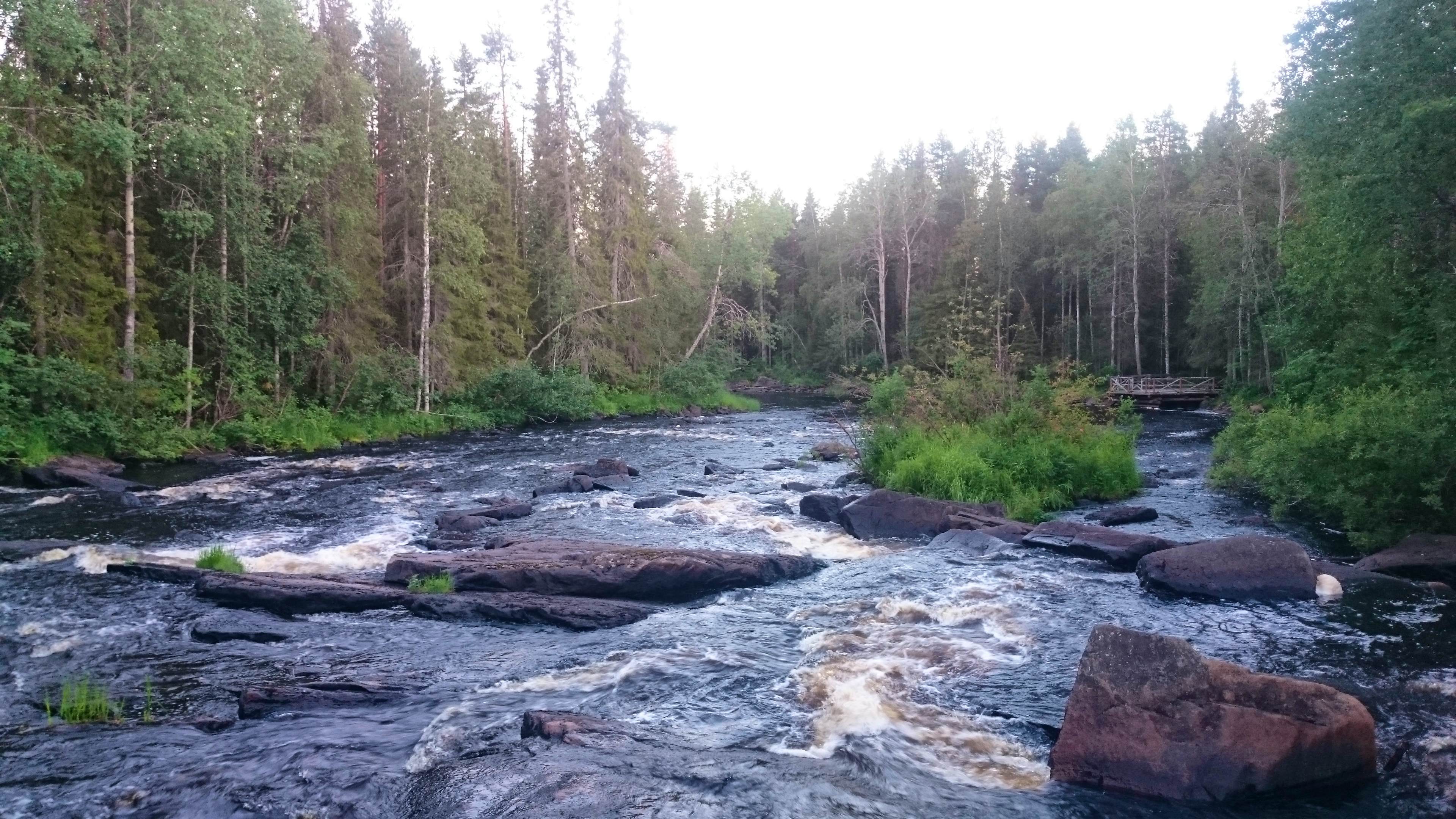 Rovaniemi: Vaatunki Hiking Arctic Circle Trail