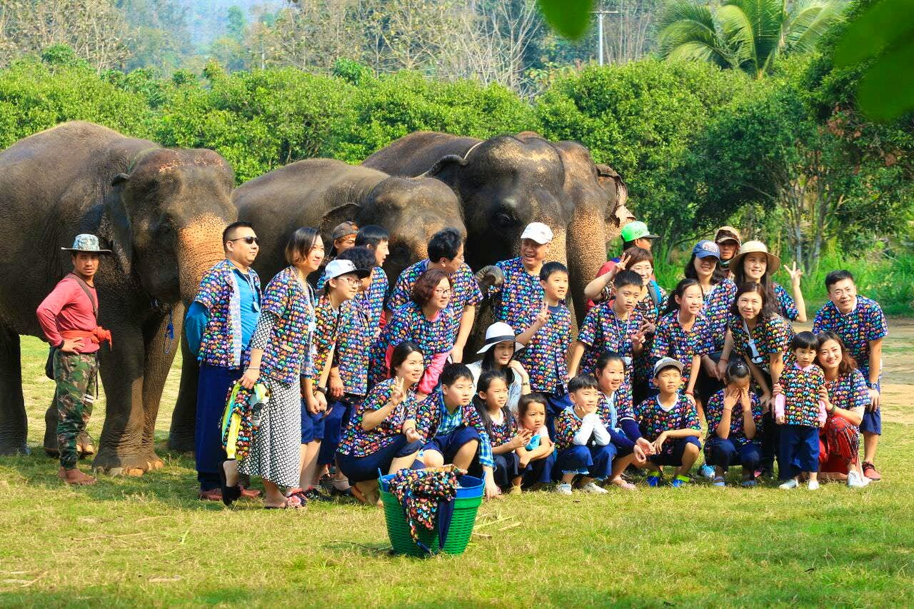 Half Day: Elephant Experience at Kanta Elephant Sanctuary