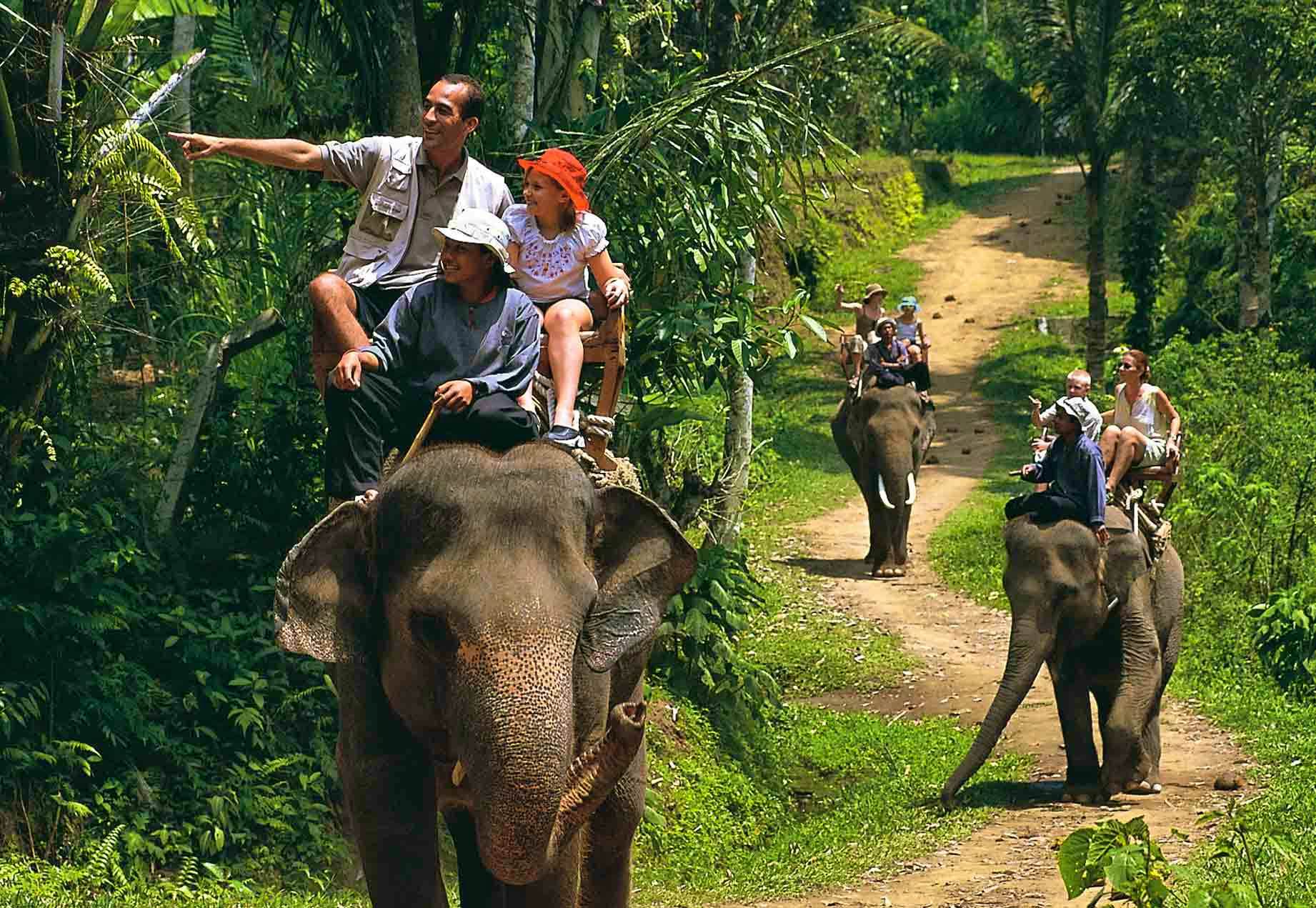 Rafting 5 Km + Elephant Trekking 30 Min + Monkey Cave + Waterfall + ATV 30 Mins