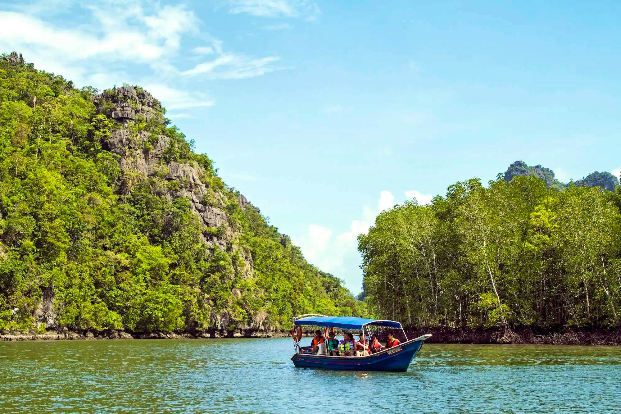 Northern Mangrove Tours with Shared Transfers