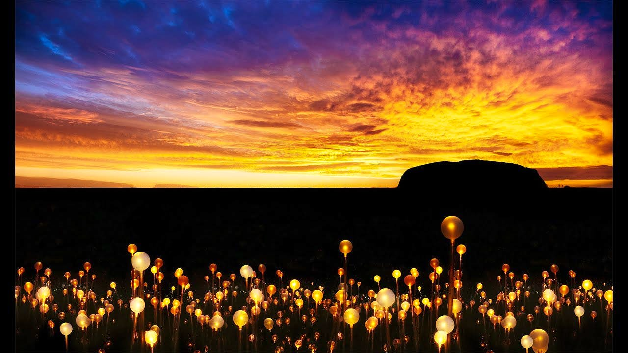 Field of Light- Uluru