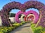 Experience the Beauty of Miracle Garden Dubai with Private Transfers  (open after 1 Nov 2022 only)