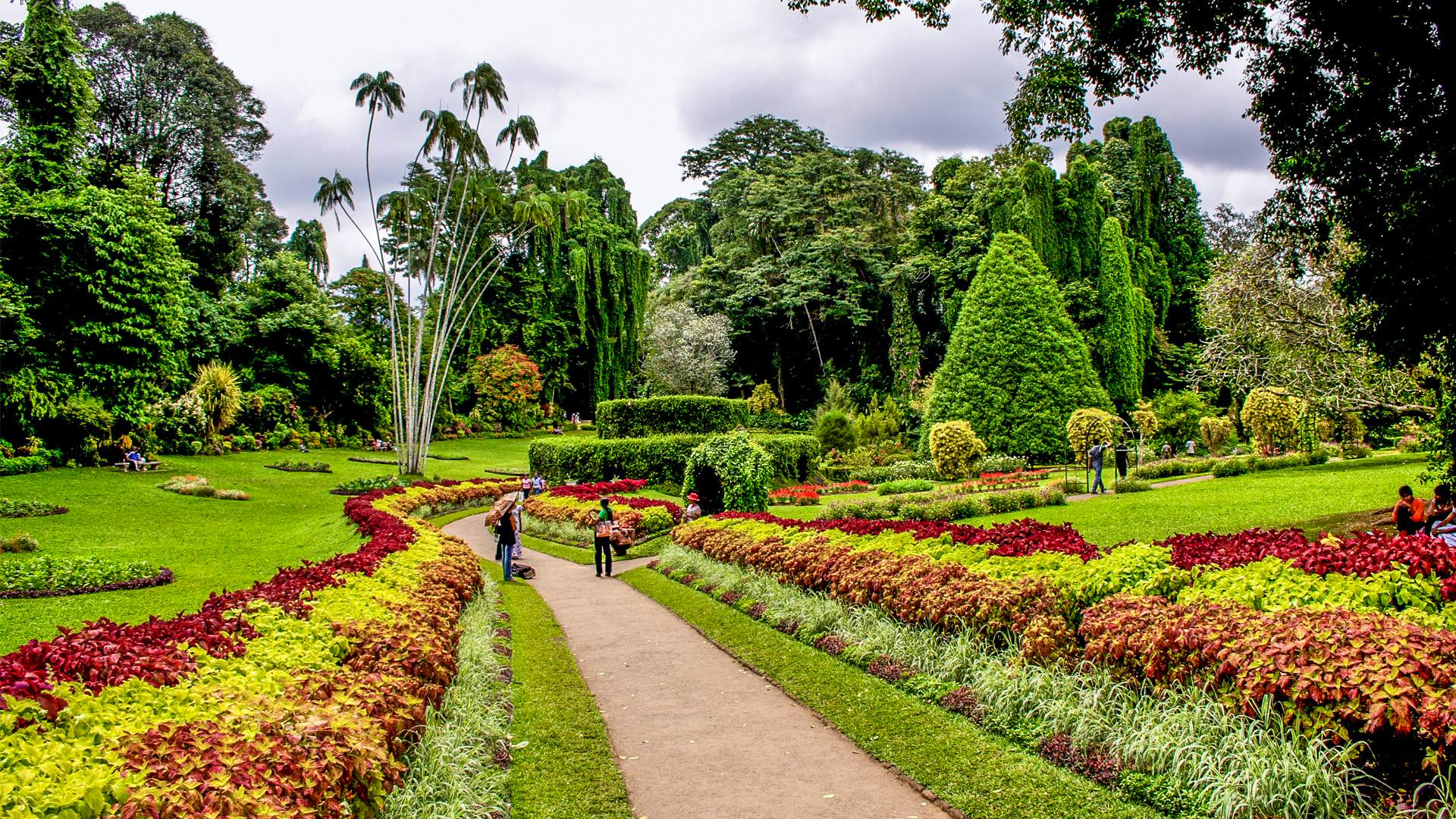 Peradeniya Botanical Gardens-  Entrance Fee 11 USD Per Person Pay Directly
