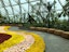 Jewel Changi Airport (Hedge Maze w Canopy Park)(Note: Child 3-12 yrs) with private transfers