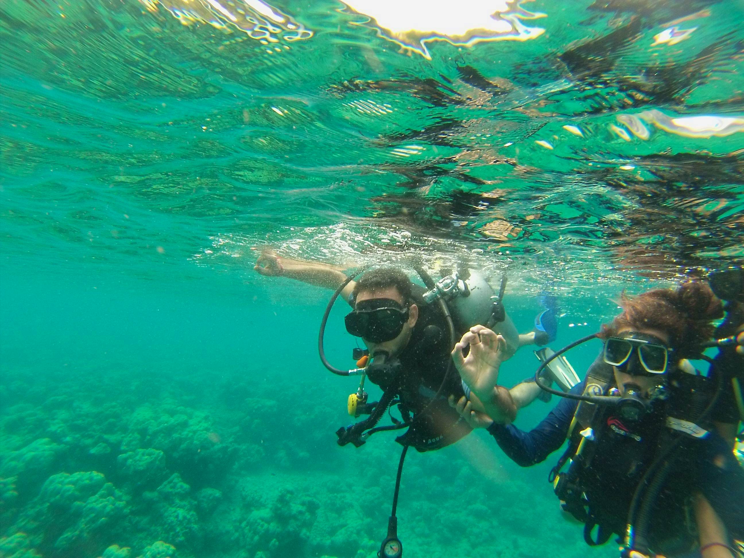 Scuba Diving Experience in Havelock Island