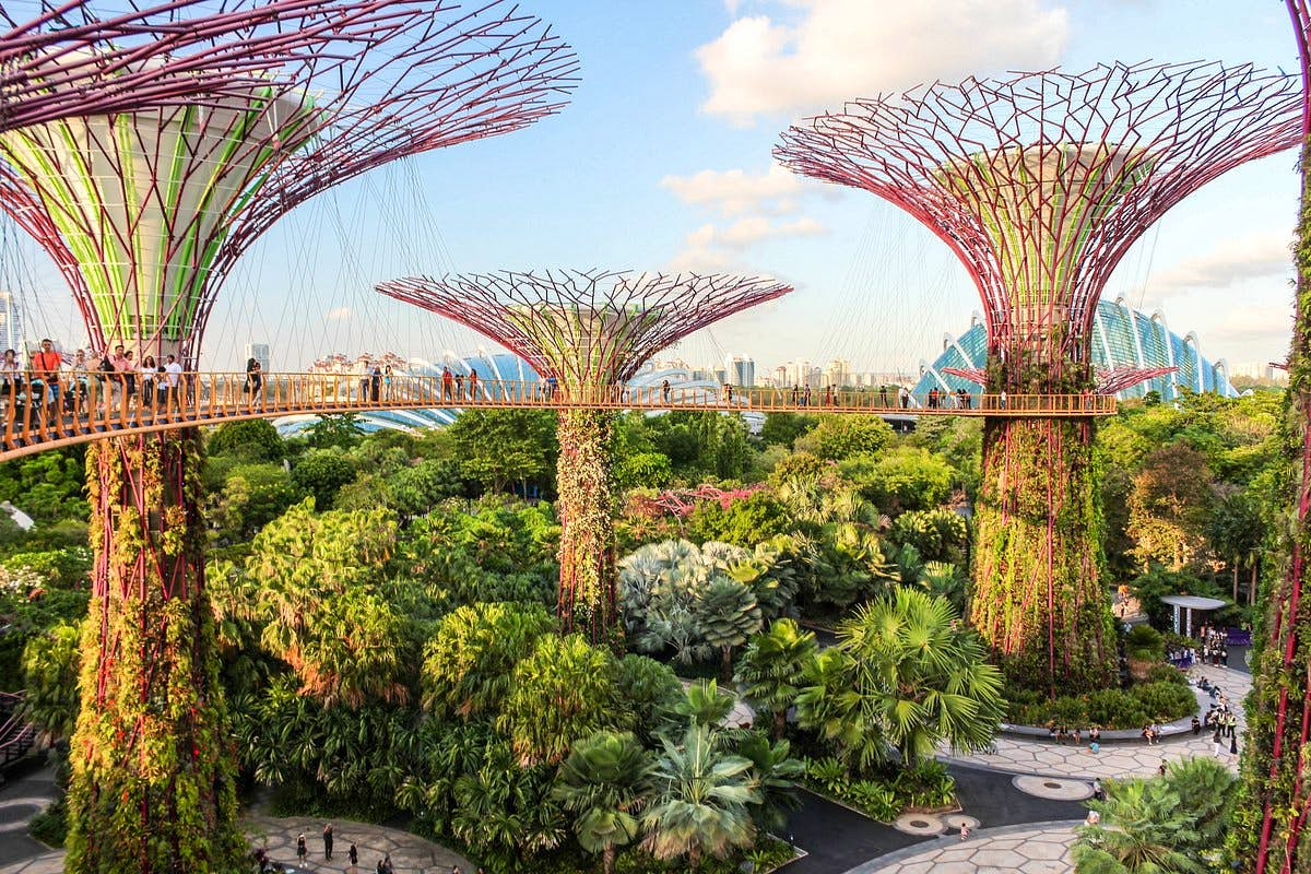 Gardens By The Bay with Cloud Forest + Super tree Observatory on Shared Transfers