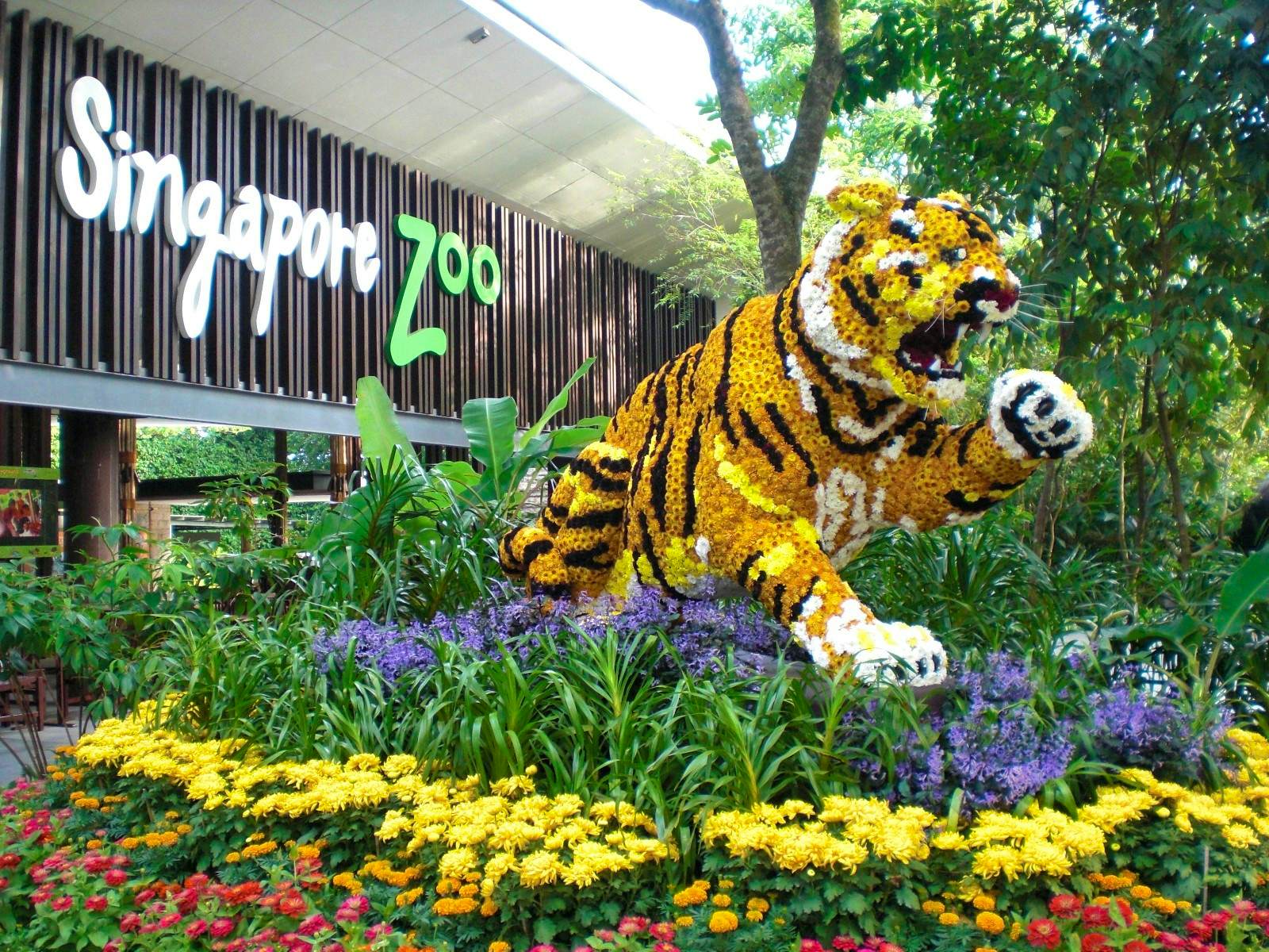 Singapore Zoo (admission + tram) Ticket Only