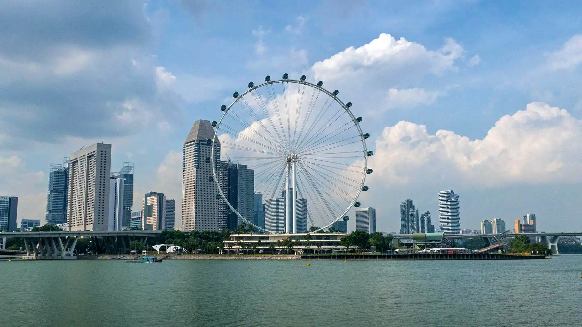 Singapore Flyer and Time Capsule Ticket with Private Transfers