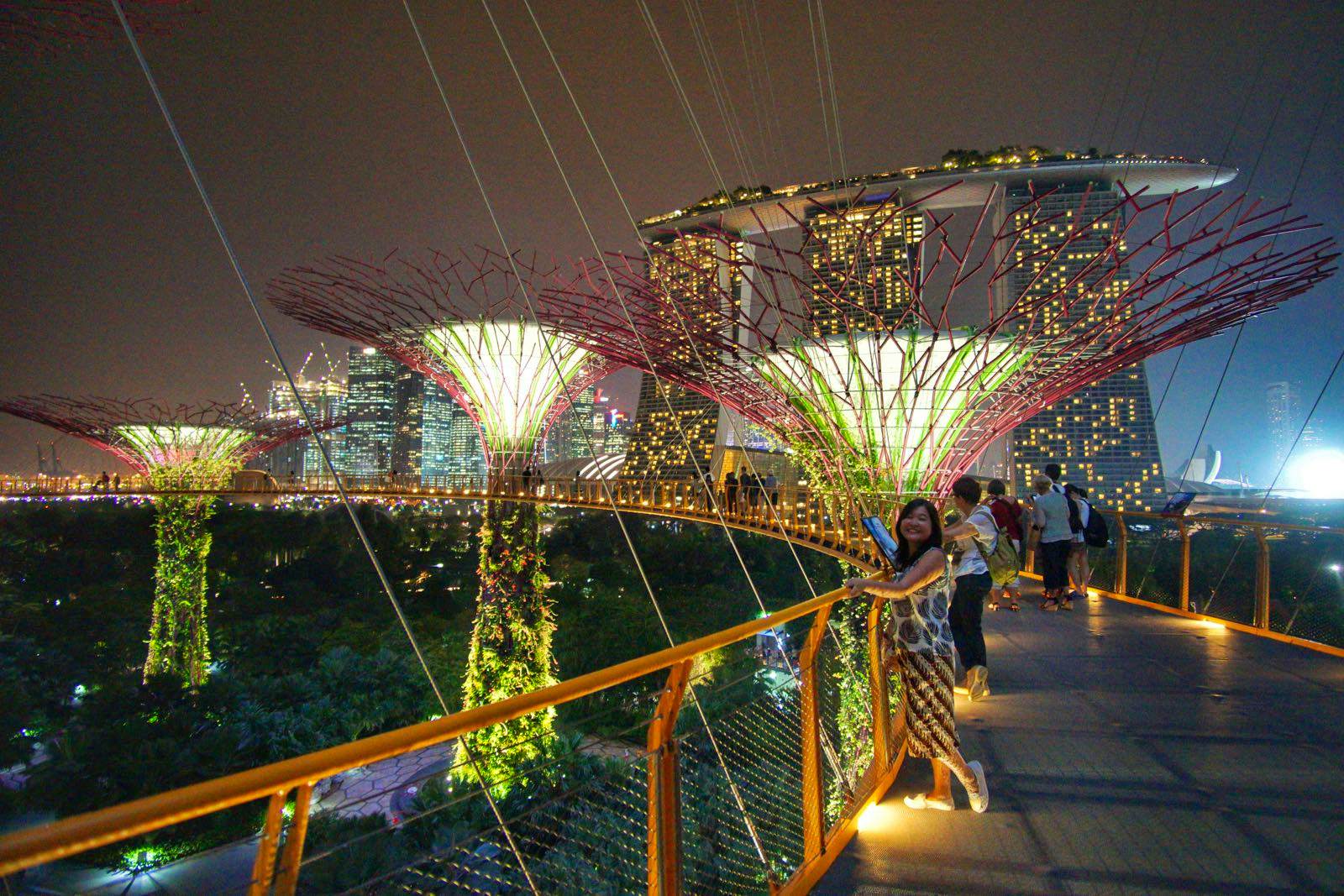 Gardens by the Bay and OCBC Skyway