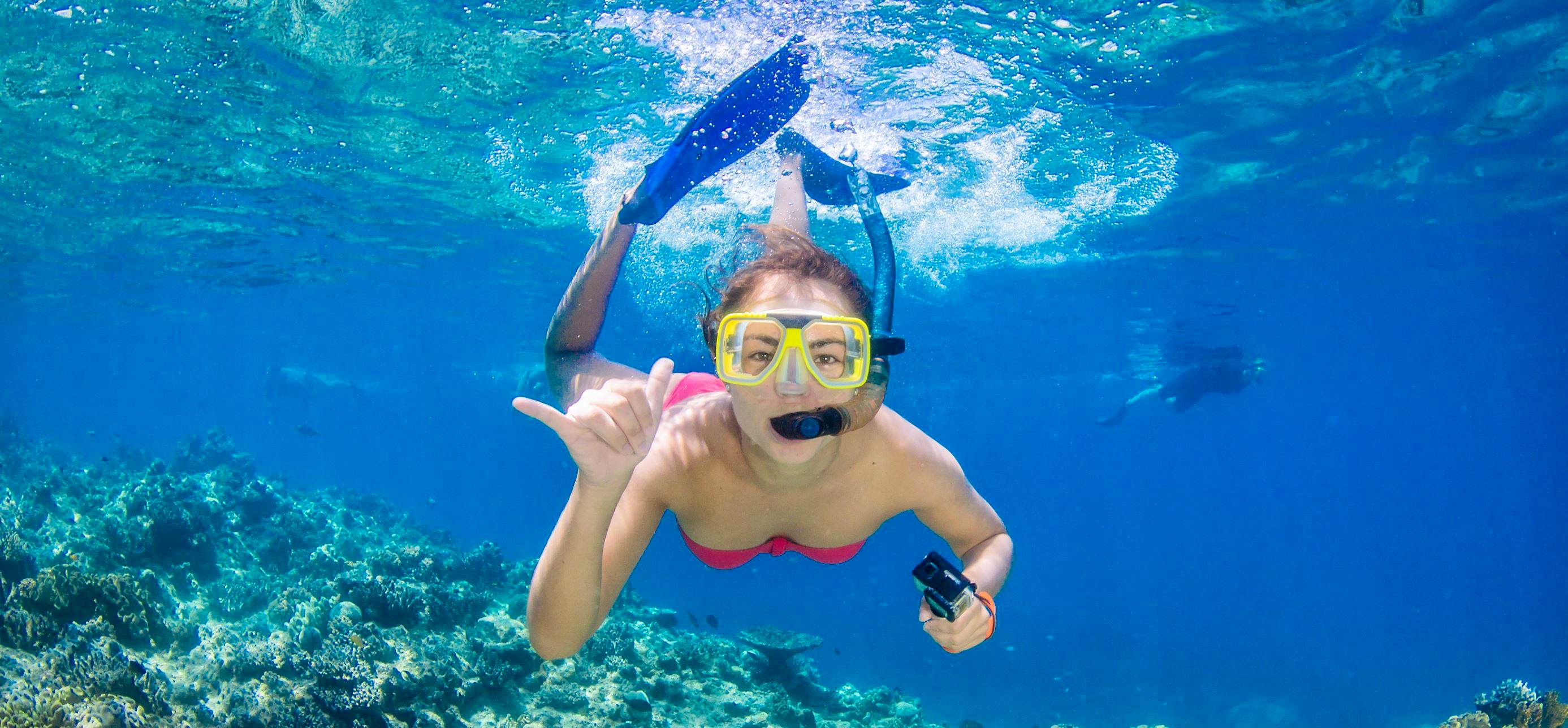 Great Barrier Reef Snorkeling and Diving Cruise from Cairns