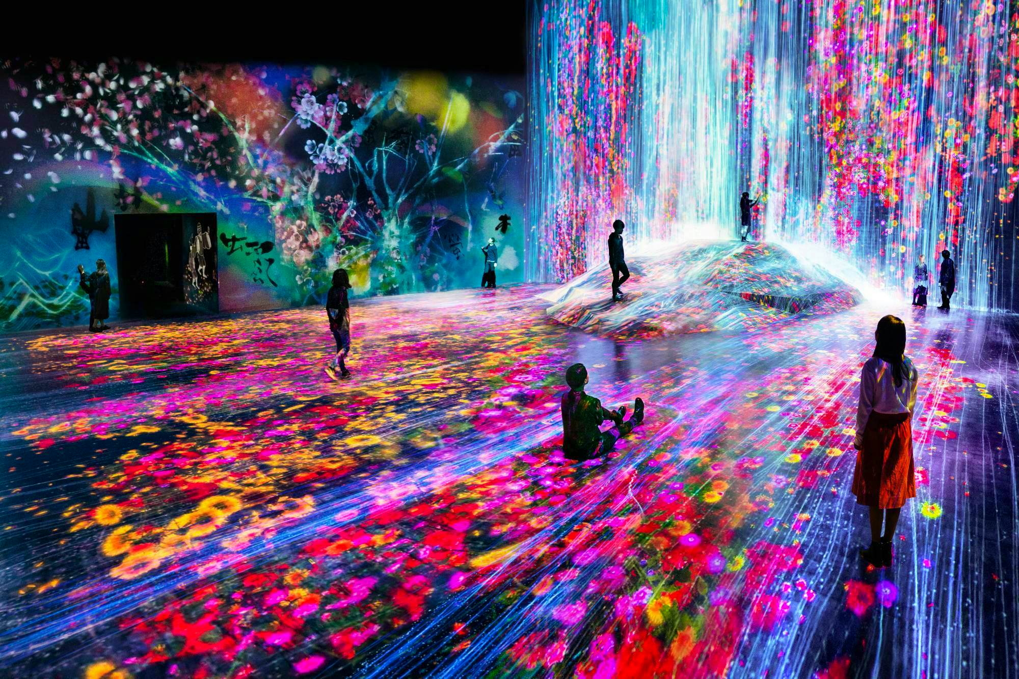 teamLab Borderless Entrance Pass in Tokyo