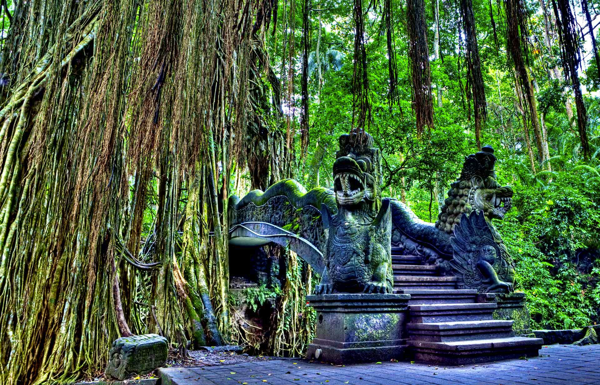 Kintamani volcano ,Tegallalang Rice Terraces, Aloha Swing, Ubud Monkey Forest ,tirta empul temple and celuk with Private Transfers