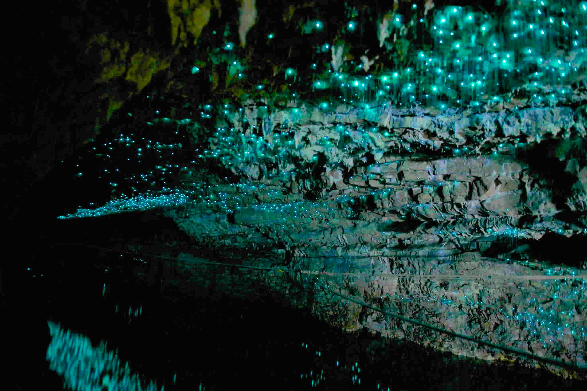 Waitomo Glowworm and Rotorua Day Trip return Auckland