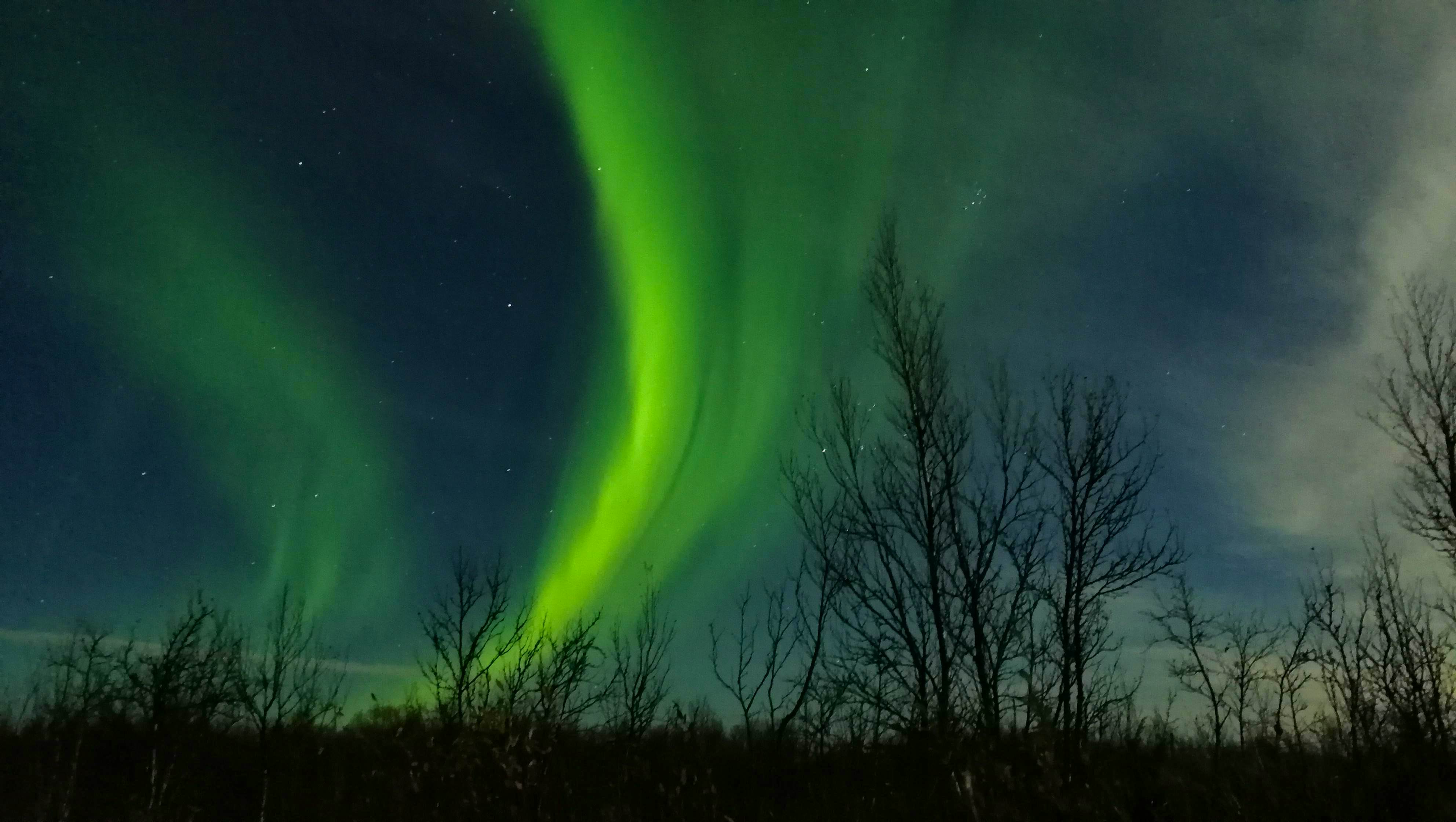 Northern Lights Tour With Guide - Kiruna (This is for Northern Lights)