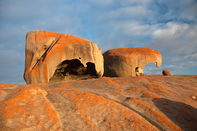 Enjoy the scenic and wild-side of Australia with family fantastic