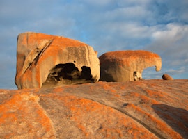 Enjoy the scenic and wild-side of Australia with family fantastic