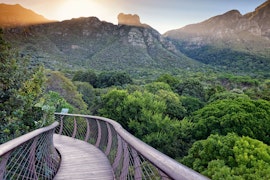 Luxury redefined : A 10 day South Africa itinerary