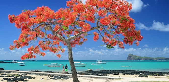 Dazzling 8 Nights Delhi To Mauritius Tour Package