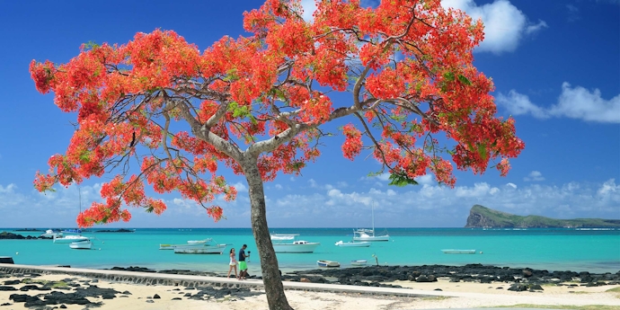 Miraculous 4 Nights Holiday Packages From Bangalore To Mauritius