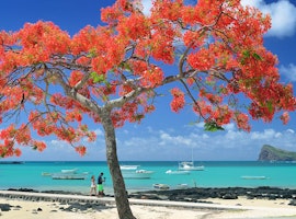 Dazzling 8 Nights Delhi To Mauritius Tour Package