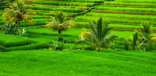 Dazzling-12-Nights-Bali-Packages-From-Bangalore-Including-Airfare-