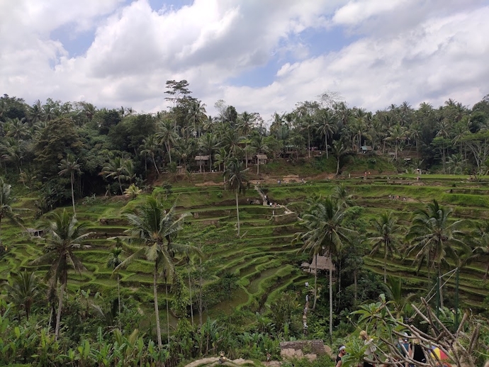 Spectacular Bali Tour Package with Tegallalang Rice Terraces