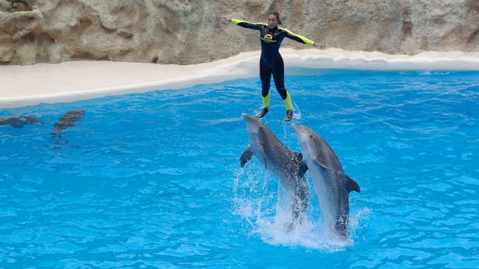 Best 4 Nights Dubai Trip With Dubai Dolphinarium 