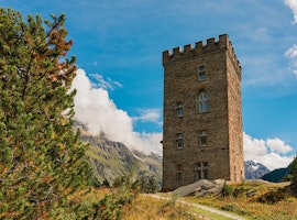 Enigmatic 10 Days Swiss Packages For Family