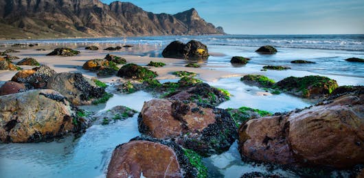 10-days-Fun-filled-South-Africa-Vacation-Packages
