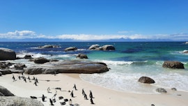 Unveil South Africa: 10-Day Adventure for True Wanderers!