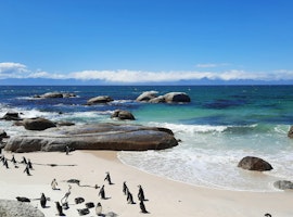 Unveil South Africa: 10-Day Adventure for True Wanderers!