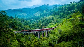 Tea Plantations to Tropical Beaches: 5 Nights in Kandy, Nuwara Eliya, and Bentota