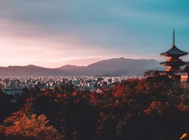 Magical 5 nights to Tokyo and Kyoto for Honeymoon