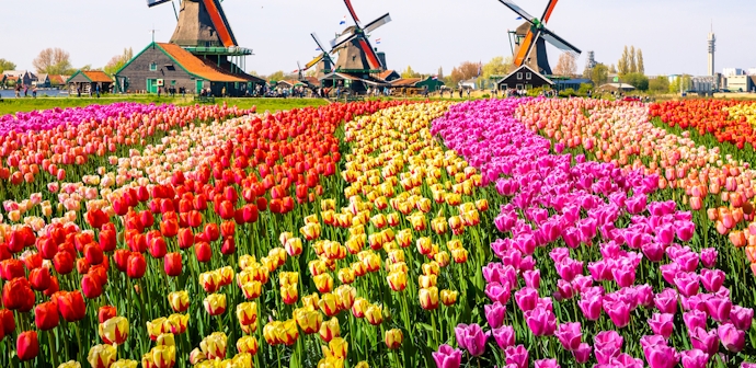An incredible 9 night Netherlands itinerary for an unforgettable vacation