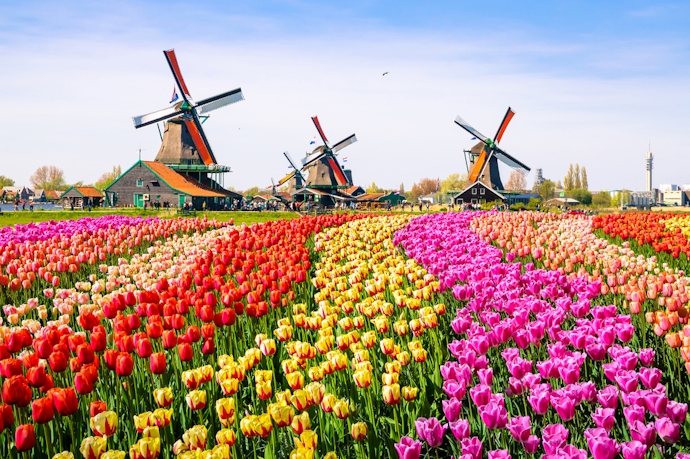 An incredible 9 night Netherlands itinerary for an unforgettable vacation